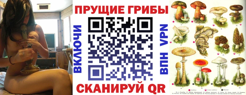 Псилоцибиновые грибы Cubensis купить сайты Боровск